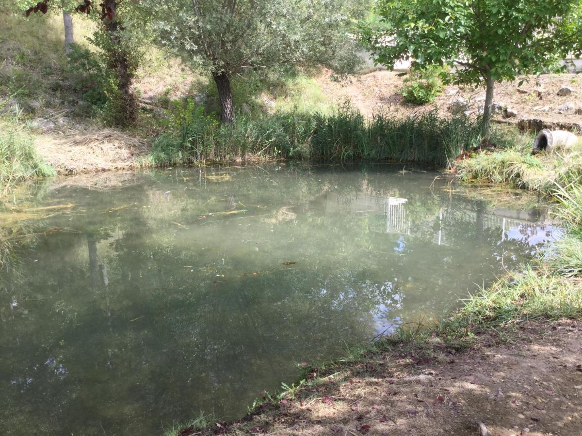Mazet Tournesol Aux Portes Du Verdon Saint-Martin-de-Brômes Exterior foto